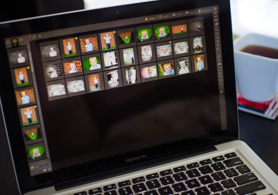 sweet-green-gallery-proselect